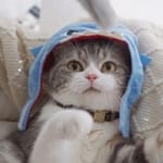 Jorge Treviño Avatar